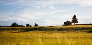 Historia architektury weneckiego gotyku