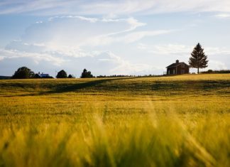 Historia architektury weneckiego gotyku