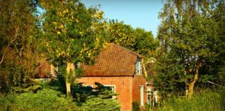 Schody w projektach aranżacji wnętrz