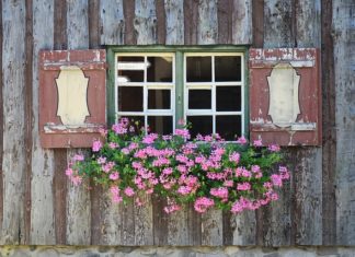 Warto korzystać z pomocy kiedy chodzi o budownictwo