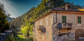 Architekci wśród zwierząt