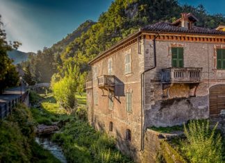 Architekci wśród zwierząt