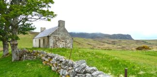 Urok i kolor blokowisk