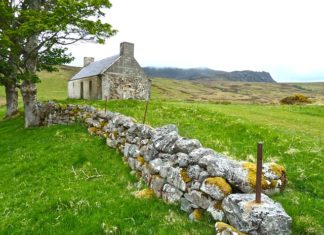 Urok i kolor blokowisk