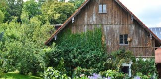 Urządzanie wnętrza naszego domu