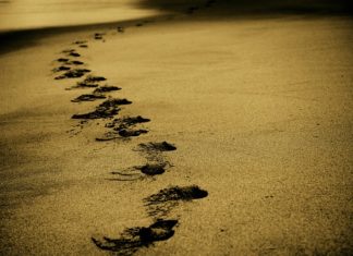 Podróże po świecie w poszukiwaniu korzeni