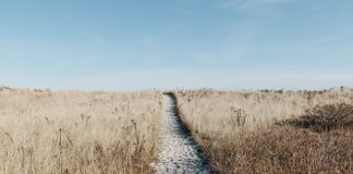 Kościół św. Michała Archanioła