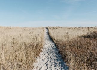 Kościół św. Michała Archanioła