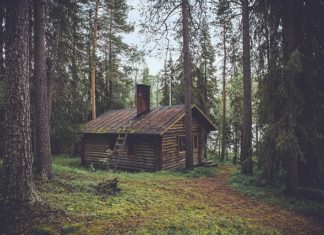 Z czego budować dom