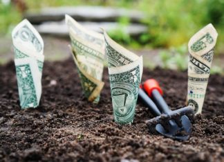 Popularne usługi naszych banków