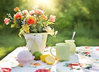 Działka i ogród – błogosławieństwo dla rodziców