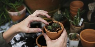 Zakup odpowiedniej działki budowlanej