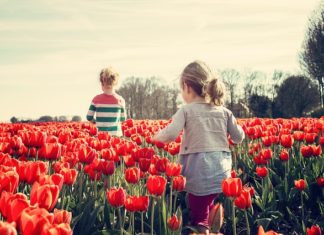 Różne pasje na świecie