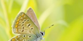 Czasem warto zaryzykować i naprawdę przekonać się o tym ile dla nas znaczy ogrodnictwo