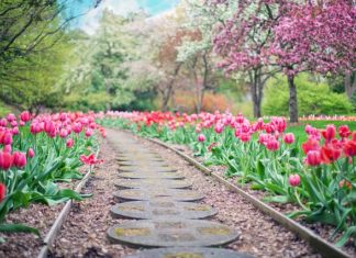 Sztuczne, czy naturalne nawozy do ogrodu