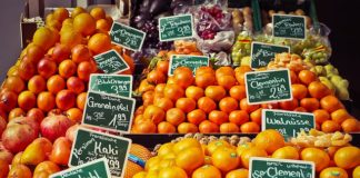 Zdrowy układ krążenia