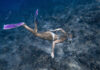 Maski do snorkelingu Maska do snorkelingu