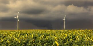 W jakiej kolejności nakładać kosmetyki?