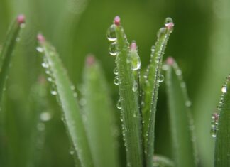 Czy one blade goli na gładko? Czy one blade goli na gładko?