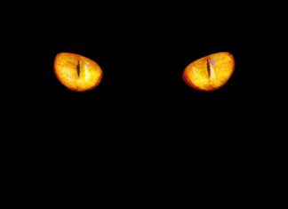 Jaka to barwa 4000K?