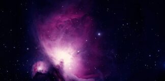 Od czego zacząć naukę robienia paznokci?