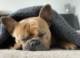 Czy przed rolowaniem trzeba się rozgrzać? Czy przed rolowaniem trzeba się rozgrzać?