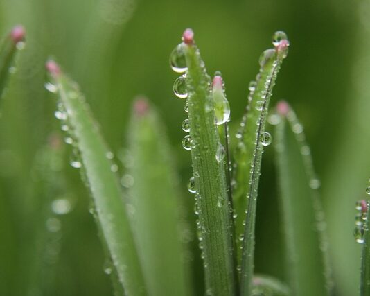 Czy one blade goli na zero?