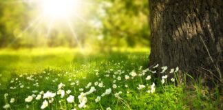 Jakiego koloru światło jest bardziej szkodliwe?