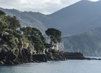 Ile kosztuje Gua Sha? Ile kosztuje Gua Sha?