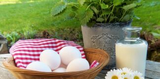 Która golarka lepsza foliowa czy rotacyjna?