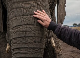 Jak sprawdzić czy lampa dobrze utwardza?