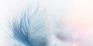 Czy warto robić brwi metodą piórkową?