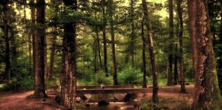 Jakie lustro do makijażu polecacie?