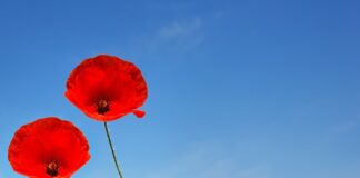 Czym najlepiej golić miejsca intymne damskie?