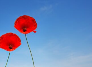 Czym najlepiej golić miejsca intymne damskie?