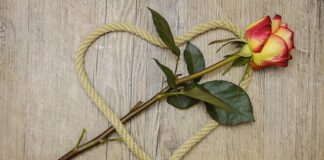 Jaki sznurek konopny na myjki?