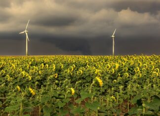 W jakiej kolejności nakładać maseczki?