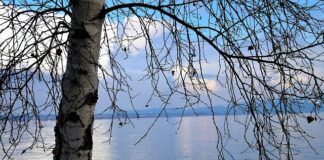 Jak ukryć prześwity na głowie?