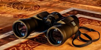 Gdzie kupić przyrząd do usuwania zaskórników?