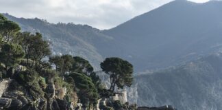 Ile kosztuje kamień jadeit?