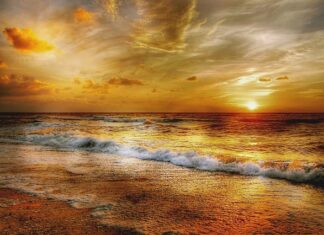 W jakich proporcjach mieszać hennę?