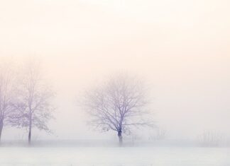 Czy zamrażanie tkanki tłuszczowej jest zdrowe?