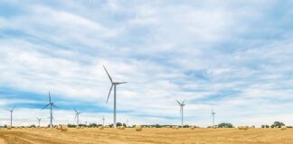 Kiedy nie można się Rolować?