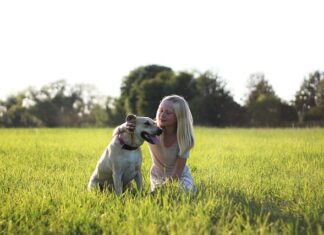 Ile pieniędzy ma friz? Ile pieniędzy ma friz?