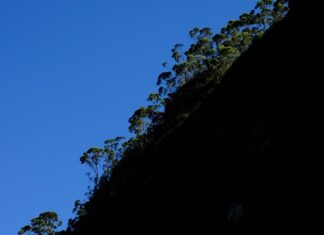 Czy na bazę kauczukowa można nałożyć żel? Czy na bazę kauczukowa można nałożyć żel?