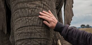 Ile czasu utwardza się żel w lampie LED?