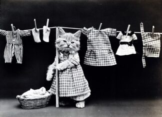 Jak zrobić Grey Wash?