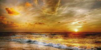 Ile trzymać hennę na brwiach Delia?